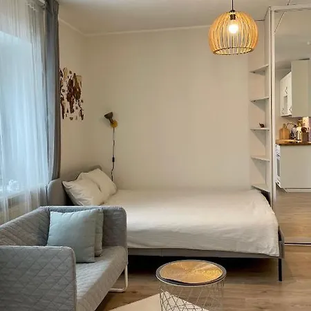 公寓 Studio Apartment