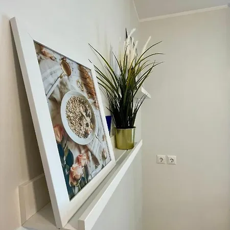 Studio Apartment *
