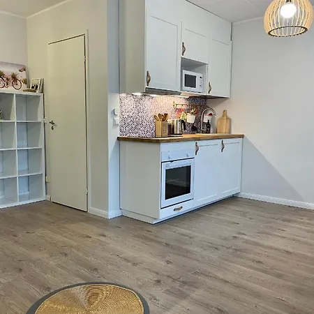 Studio Apartment Παρνού