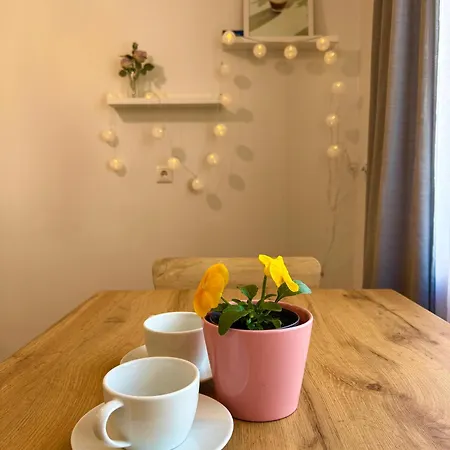 Studio Apartment * Parnu
